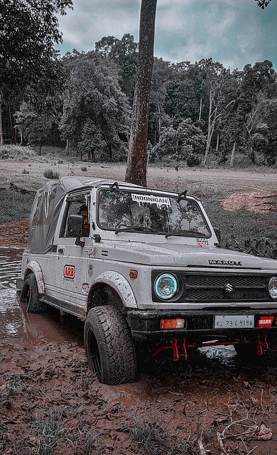 靠的保障 靠的保障