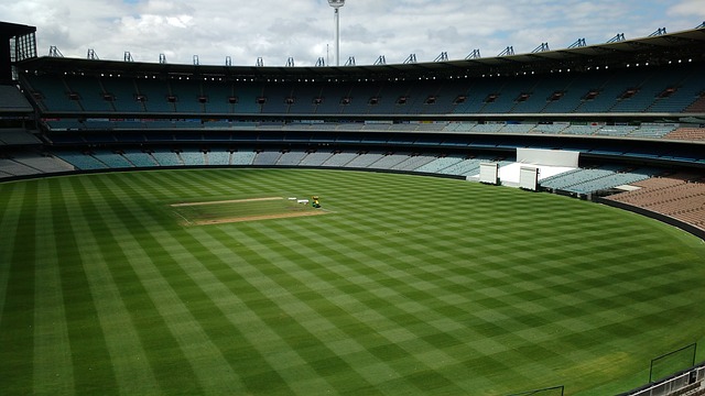 他们在场上 他们在场上