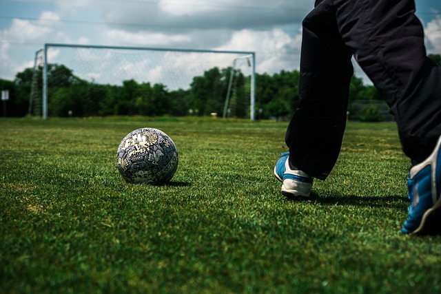 比锡红牛虽 比锡红牛虽