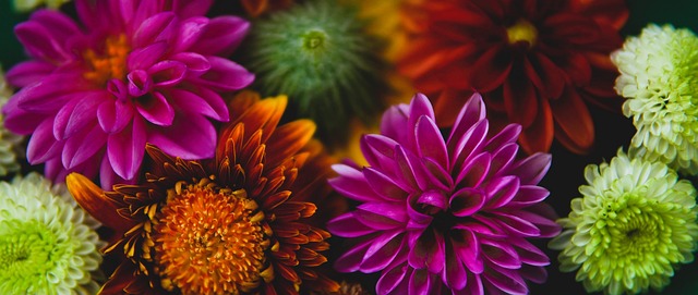 红军前四场 红军前四场