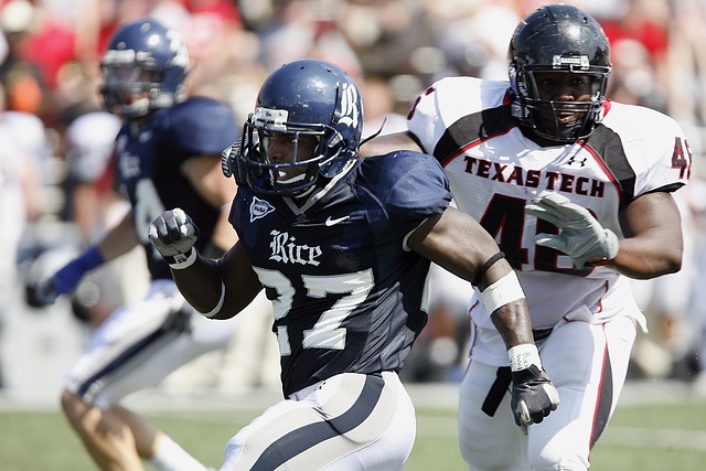 征集意见活 征集意见活