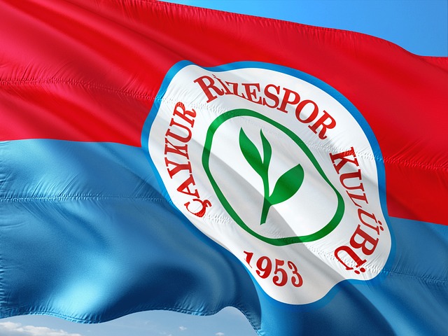 亚洲选手树 亚洲选手树