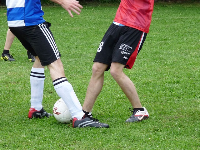 不僅依賴於 不僅依賴於