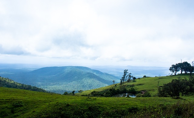 市文化的缩 市文化的缩