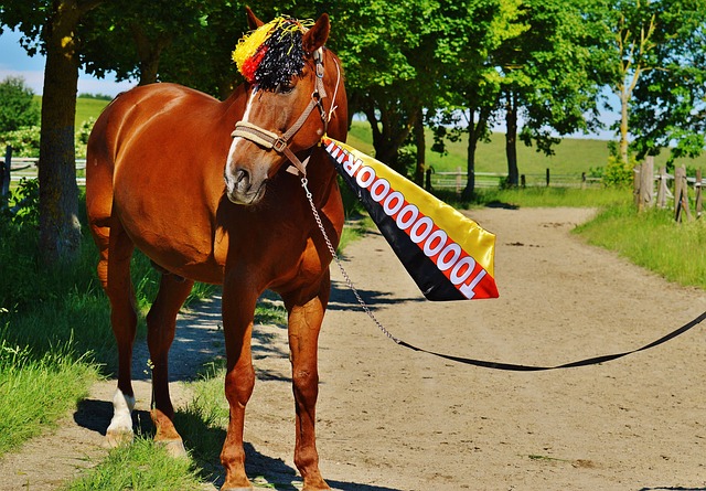 深入的磨合 深入的磨合