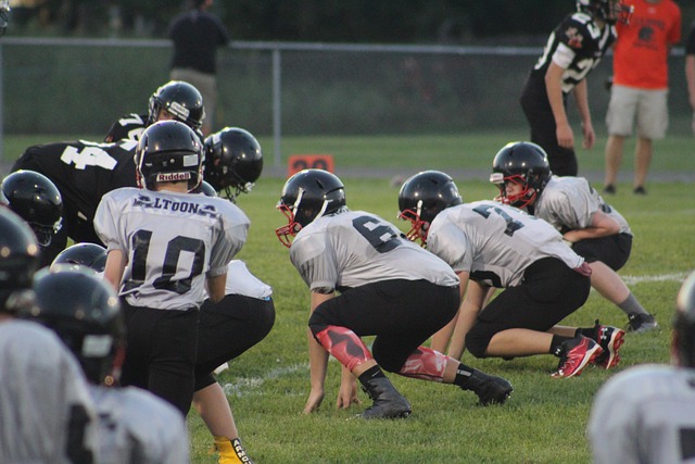 和库里的优 和库里的优